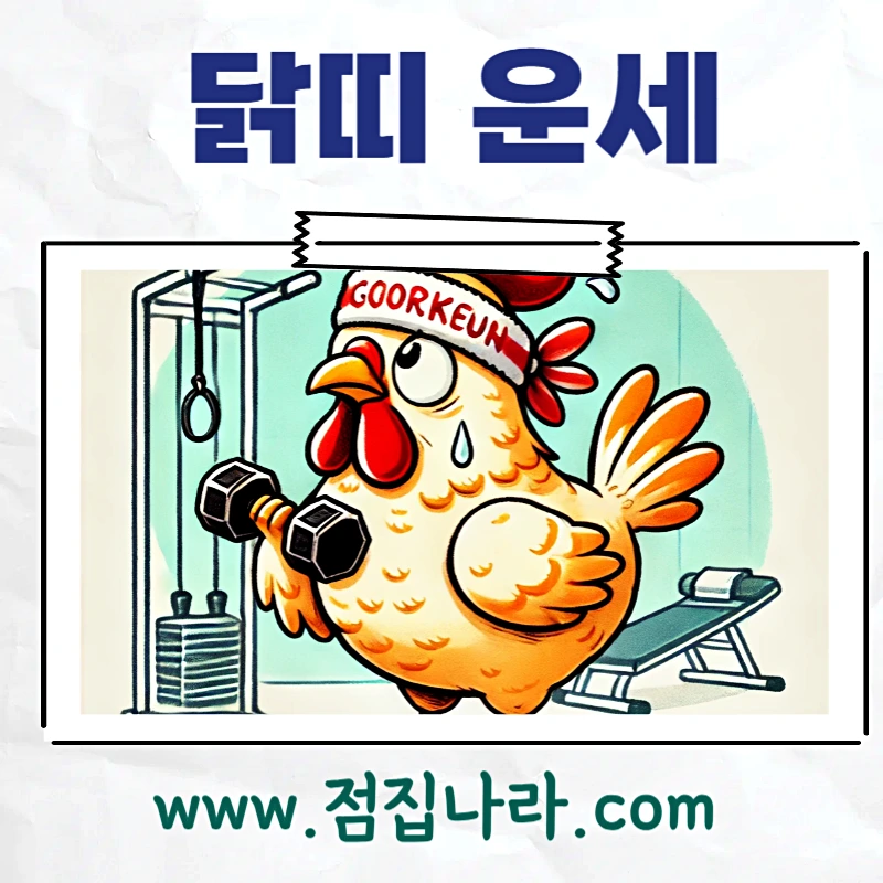 닭띠 운세