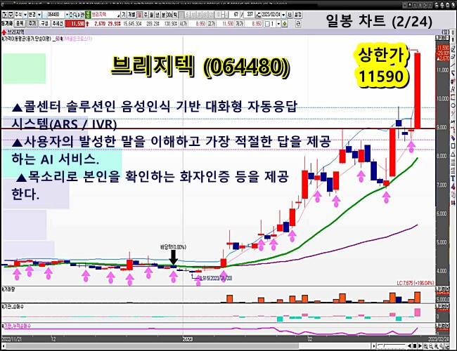 브리지텍-일봉-차트