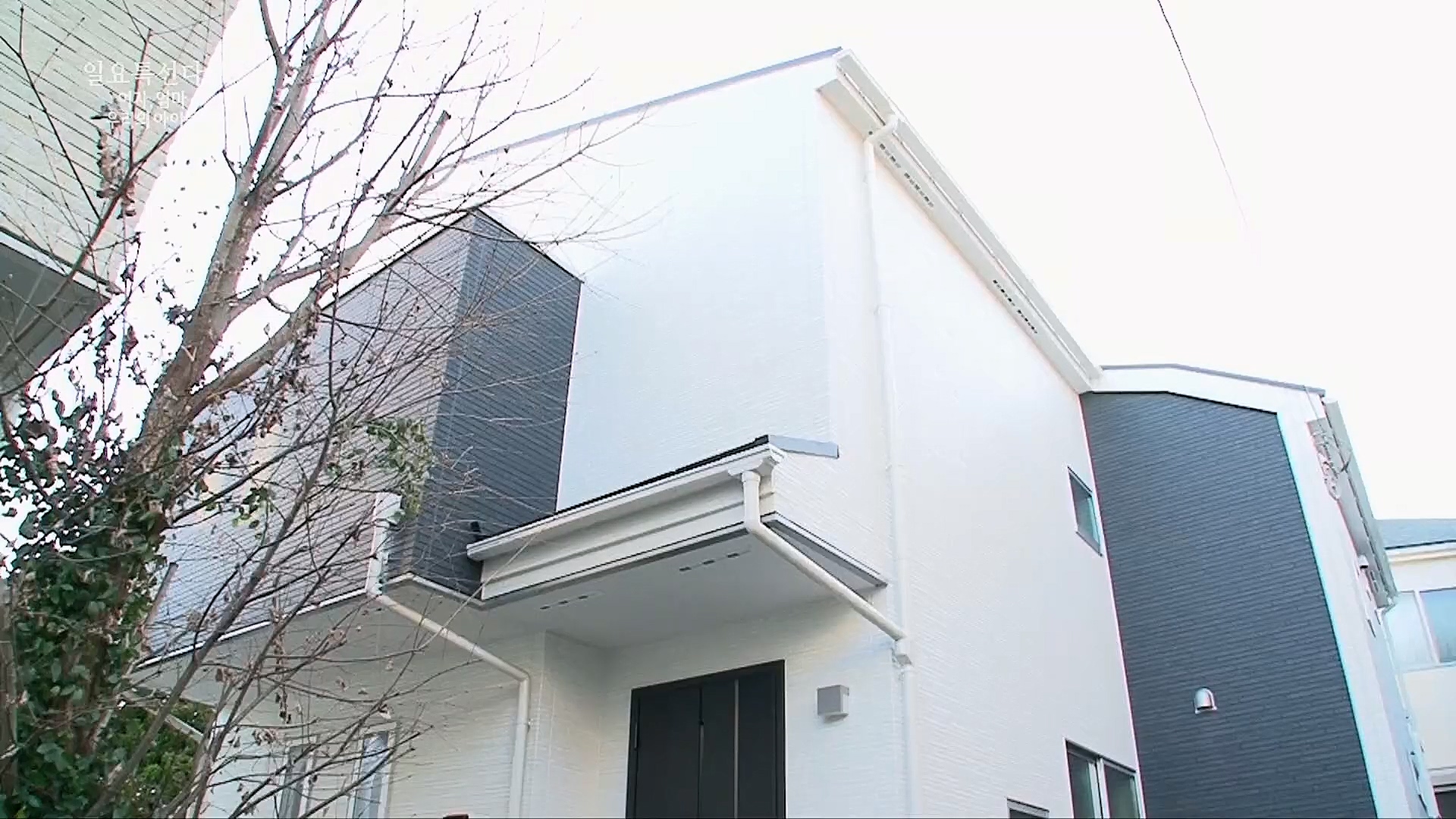 일요 특선 다큐멘터리.E308.230319p.H264-F1RST.mp4_20230321_205154.335.jpg