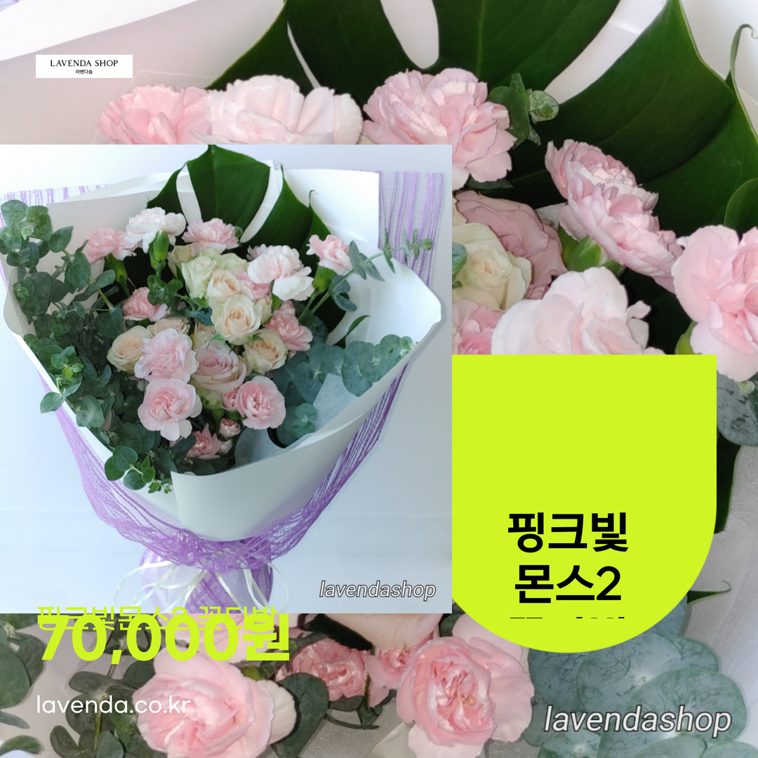  핑크빛몬스2 꽃다발