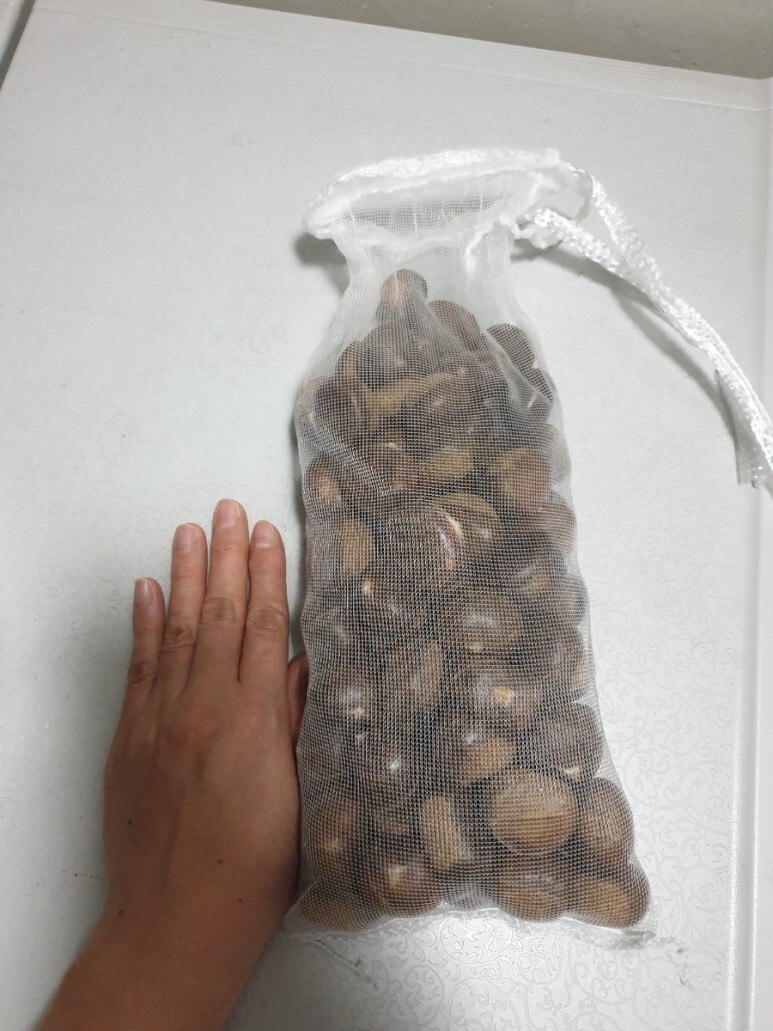  칼집 약단밤 생율 군밤 에어프라이용