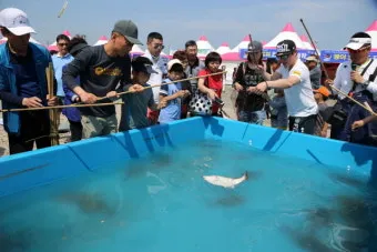 서천 광어 도미 축제에서 제철 맛 체험 완벽 여행 가이드_17