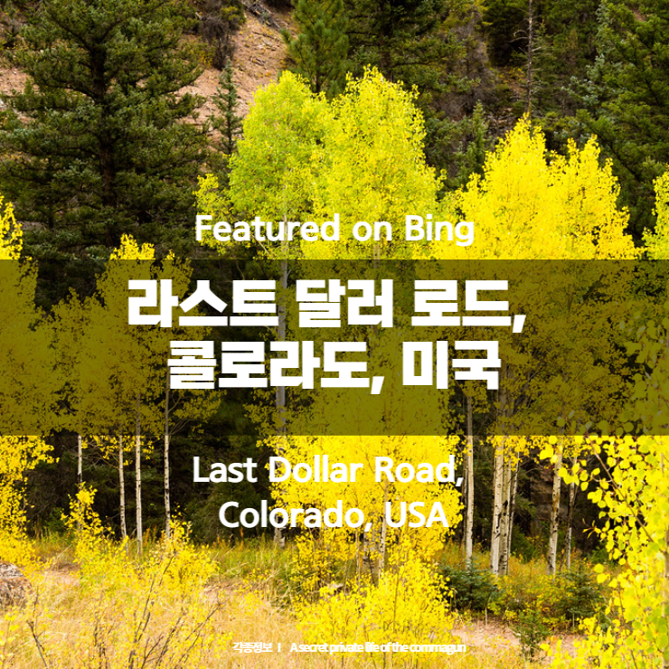  Featured on Bing - 라스트 달러 로드, 콜로라도, 미국 Last Dollar Road, Colorado, USA