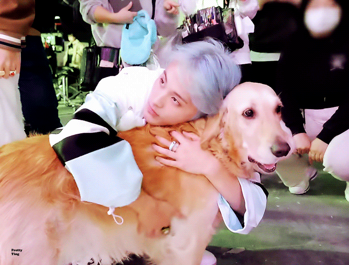 img.gif