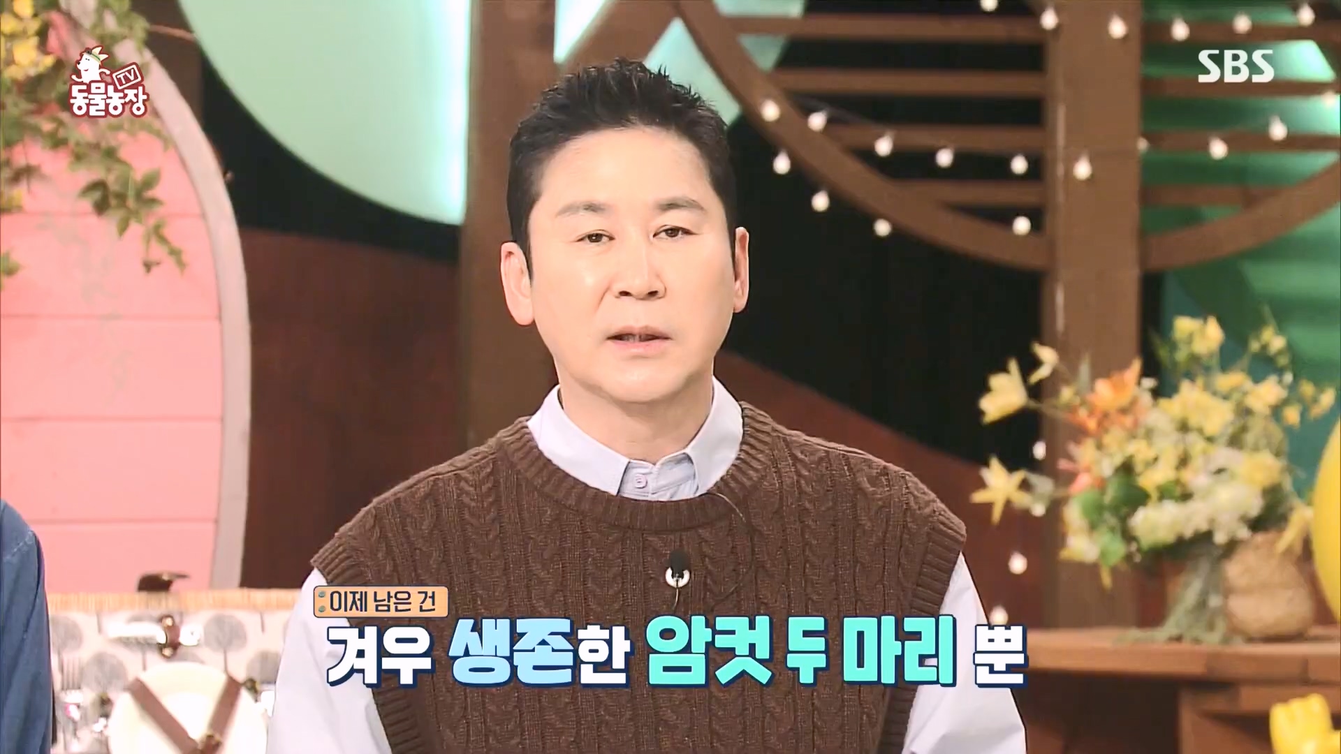 TV 동물농장.E1160.240225p.H264-F1RST.mp4_20240225_162625.580.jpg