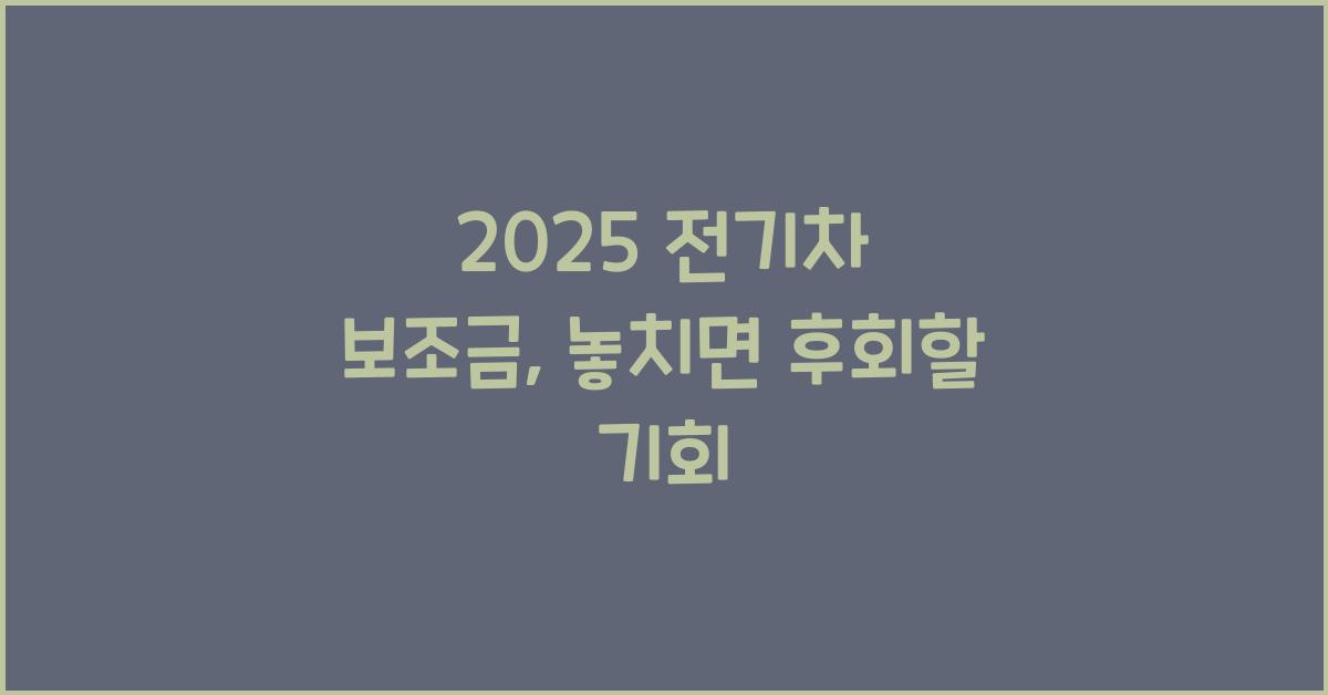 2025 전기차 보조금