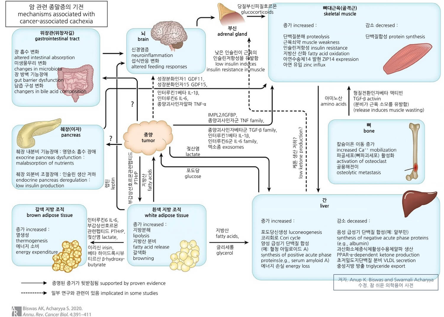 의학용어 wasting syndrome 뜻 소모증후군 = cachexia 뜻 종말증