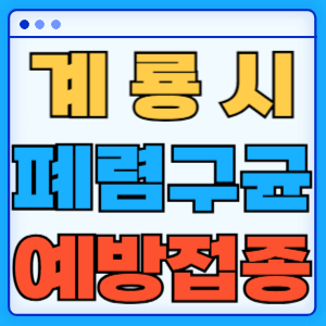 충청남도 계룡시 폐렴구균 백신 무료 예방접종 비용지원 가격 신청방법 대상자 간격 13가 15가 20가 23가