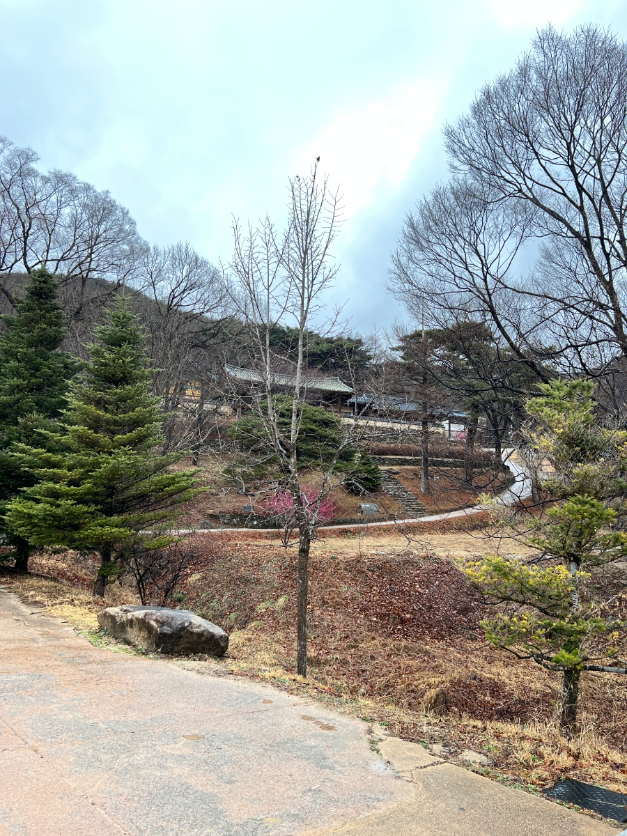 봉정사