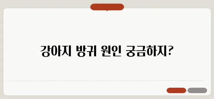 강아지 방귀 냄새 심할 때 원인과 개선 방법