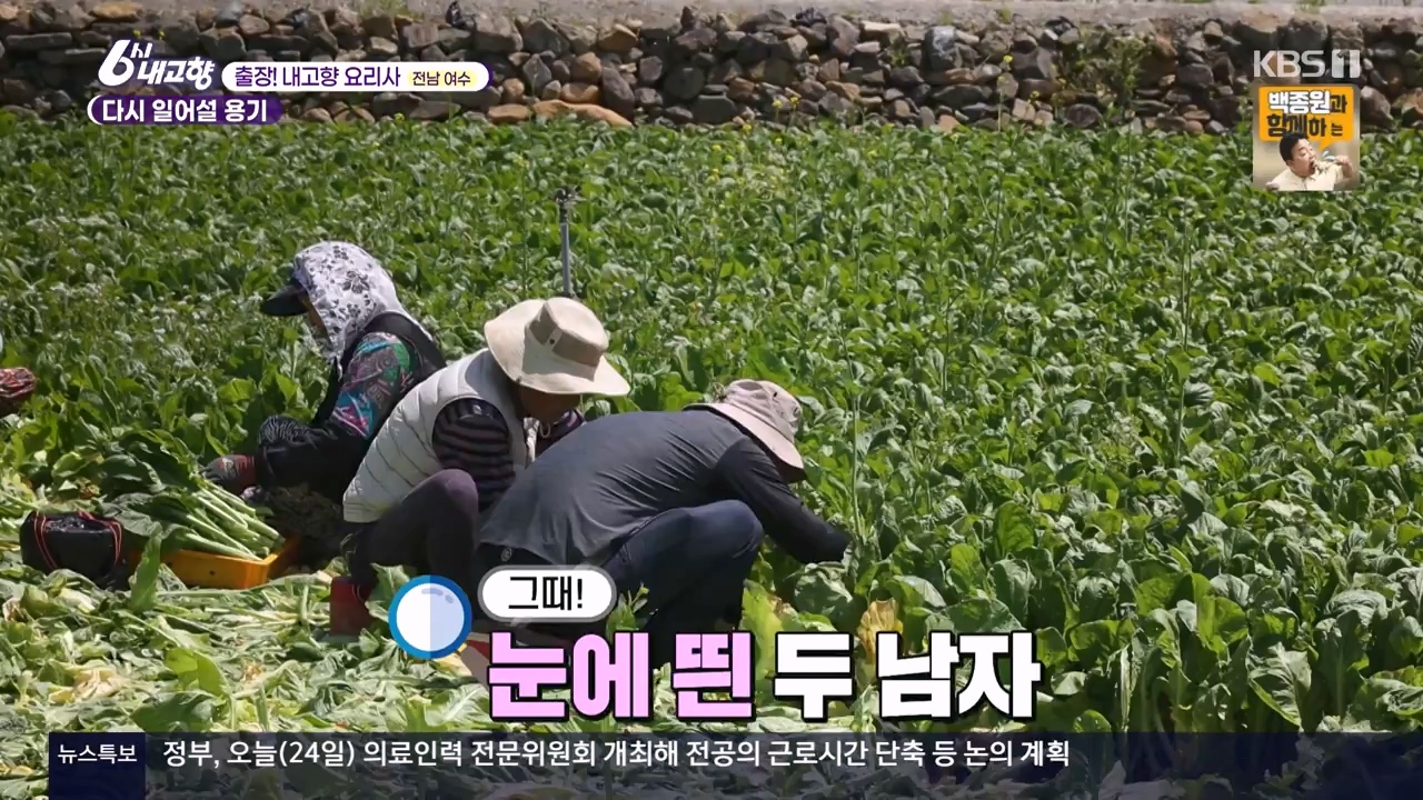 6시 내고향.E8057.240525p-NEXT.mp4_20240525_162215.378.jpg