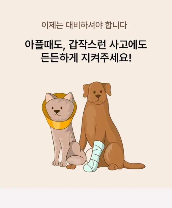 반려동물 보험