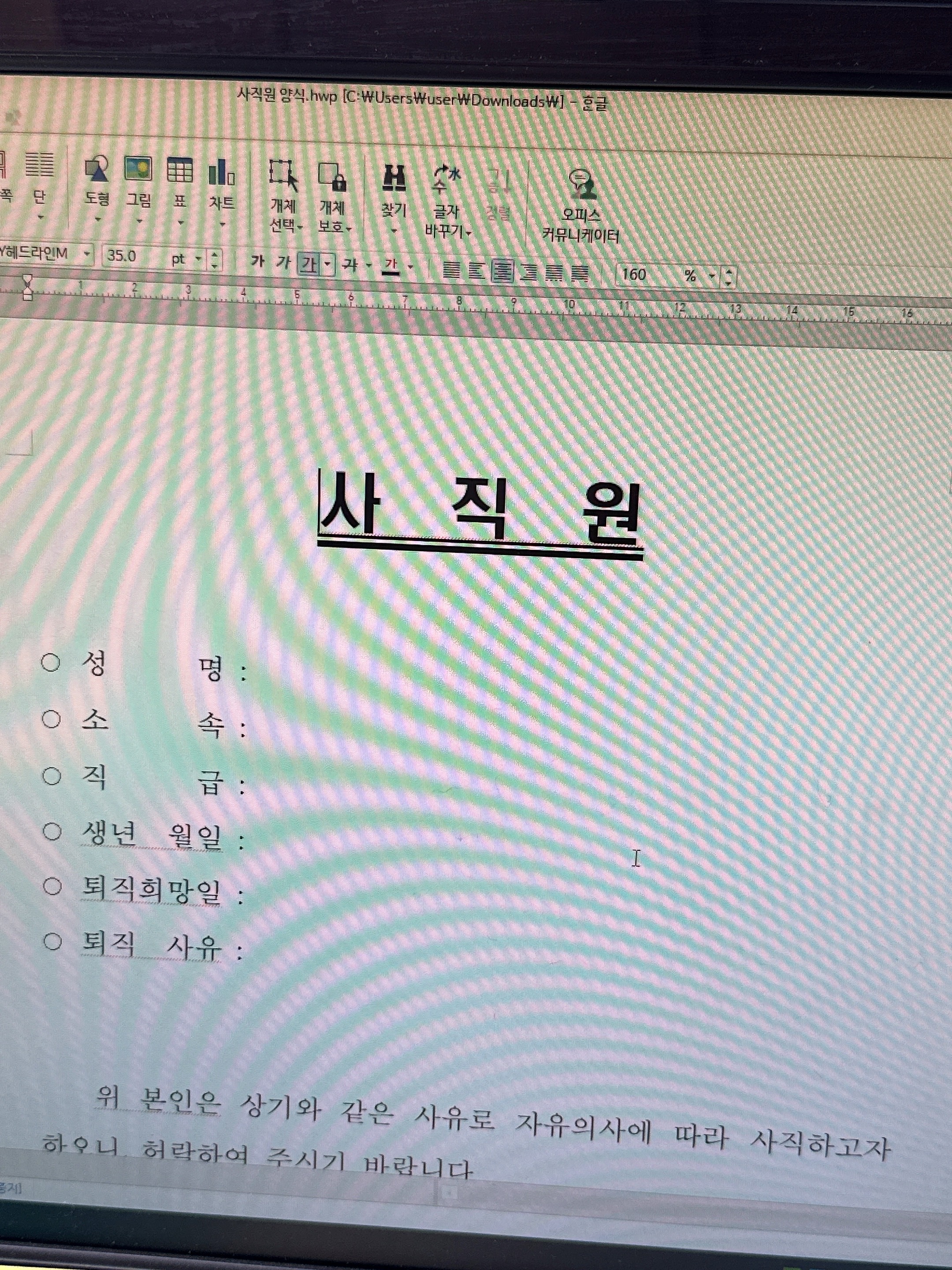  2023년 회상 및 일상 (공무원 의원면직, 대학교 졸업, 취직)