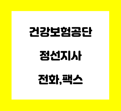  건강보험공단 정선 지사 전화번호