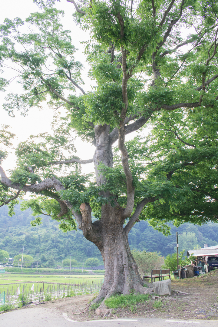 청주 옥화9경