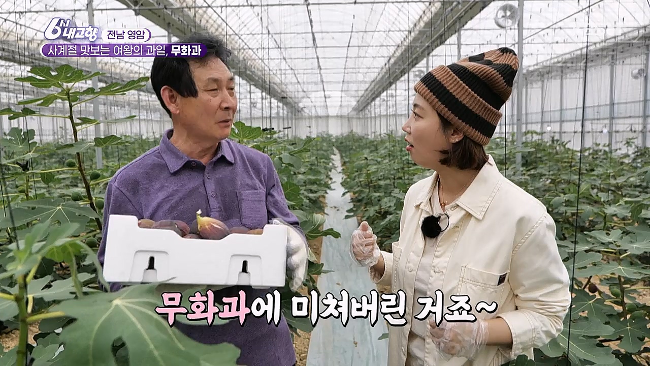 6시 내고향.E7753.230315p-NEXT.mp4_20230315_180922.977.jpg