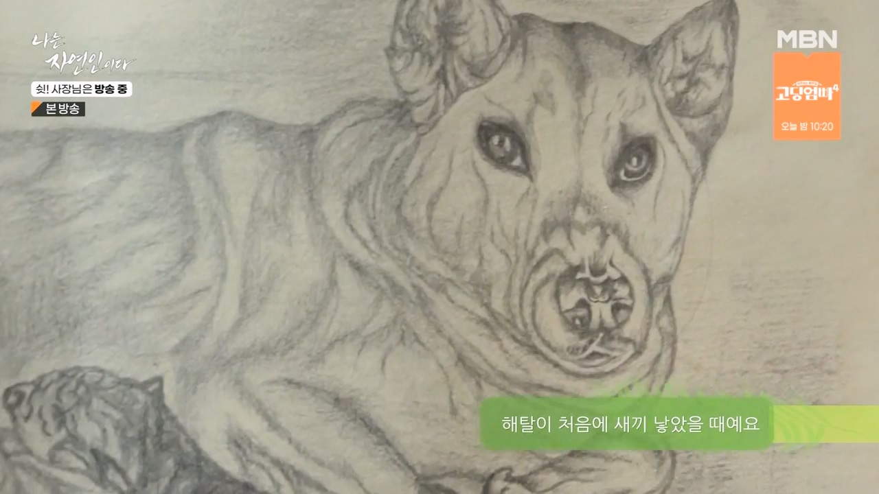 나는 자연인이다.E573.230928p-NEXT.mp4_20230929_174827.586.jpg