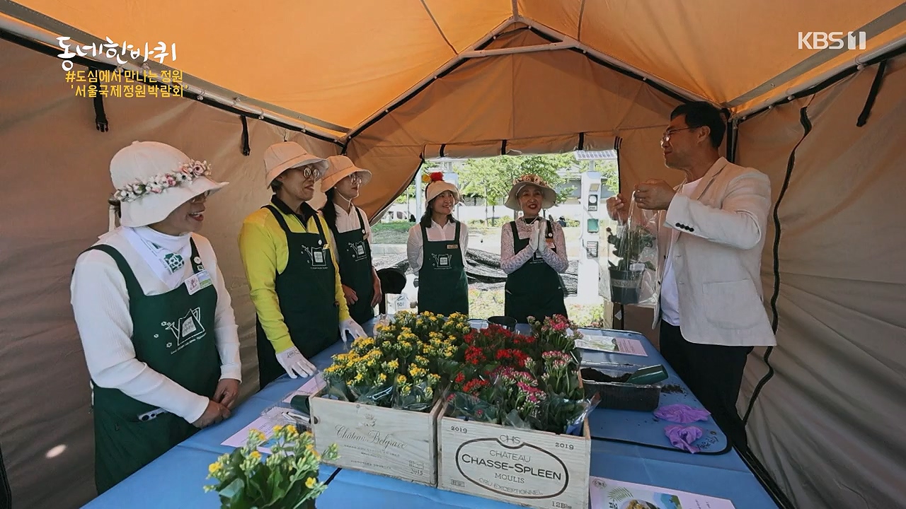 동네 한 바퀴.E277.240609p-NEXT.mp4_20240609_162912.513.jpg