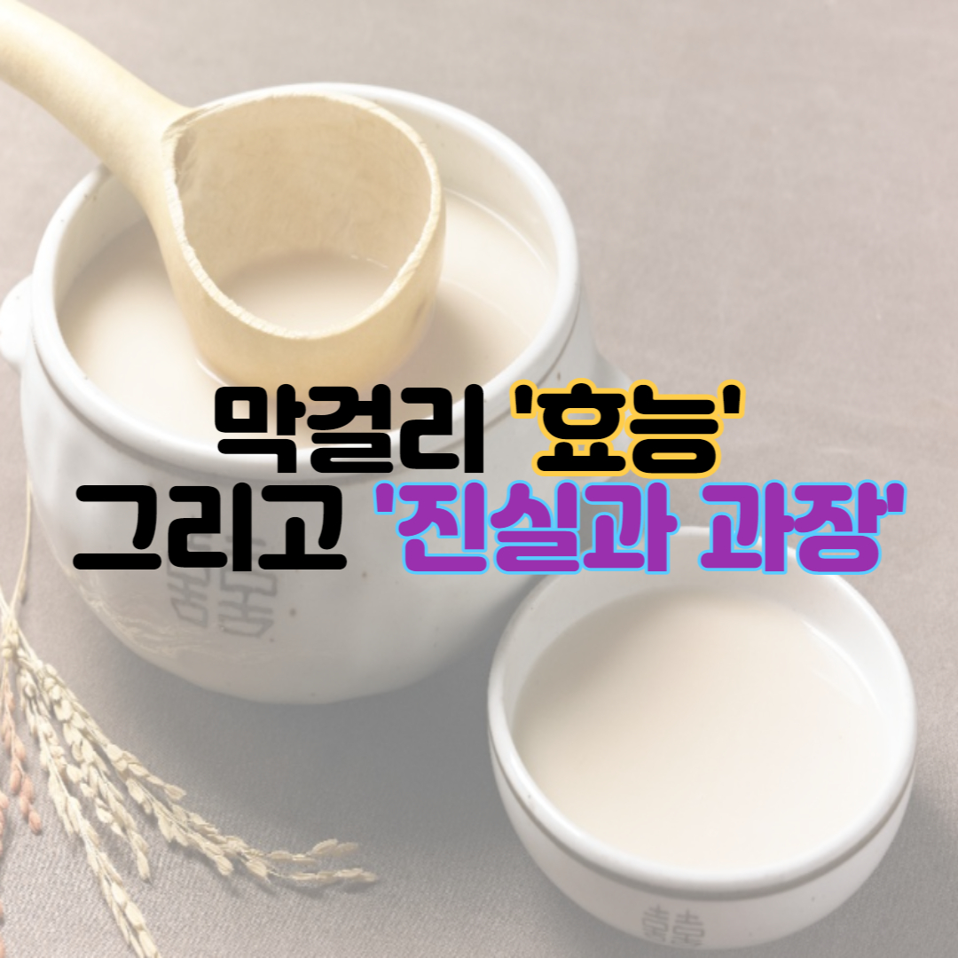  막걸리 효능 그리고 진실과 과장