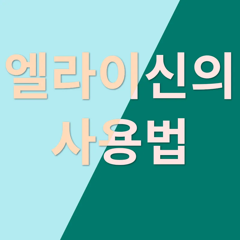 고양이 영양제 엘라이신_2