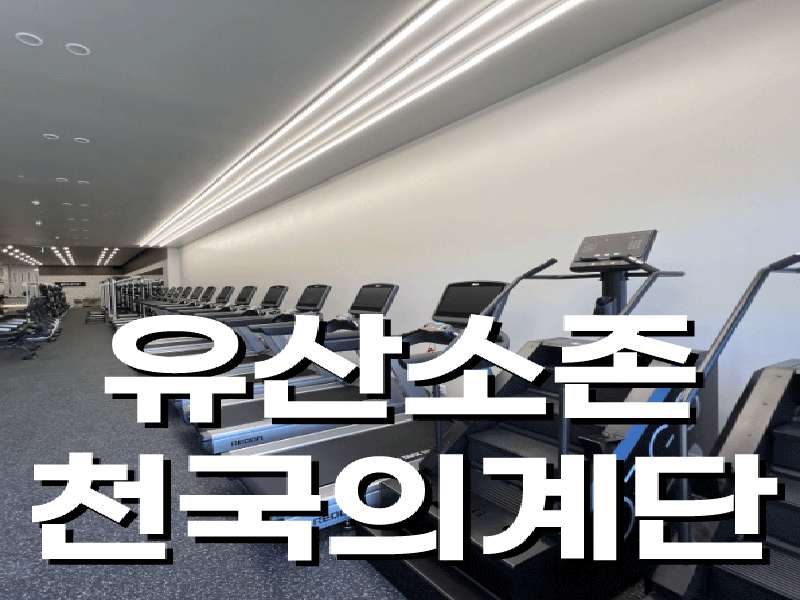 2.2 오송헬스 장점