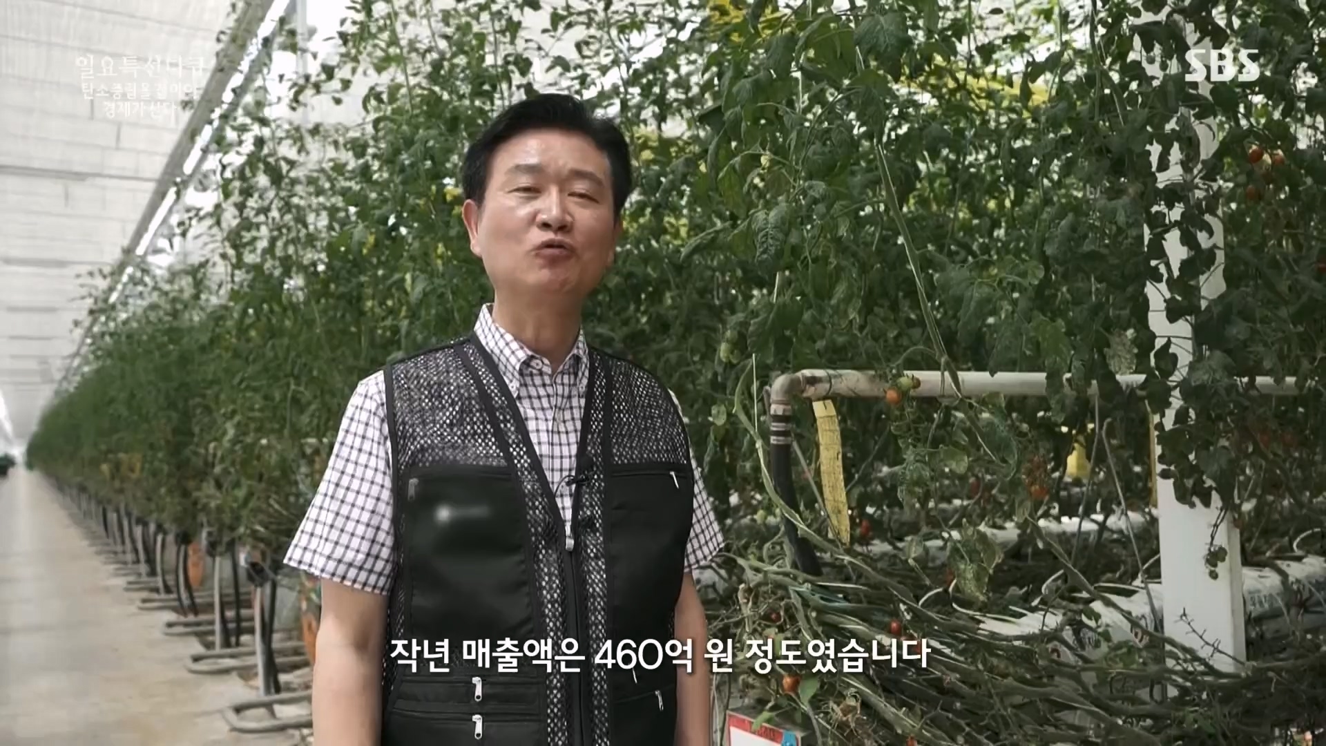 일요 특선 다큐멘터리.E320.230917p.H264-F1RST.mp4_20230925_203213.854.jpg