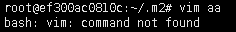  Docker 에서 "vi : command not found" 오류 해결