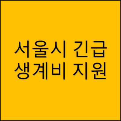 서울시 긴급 생계비 지원 썸네일