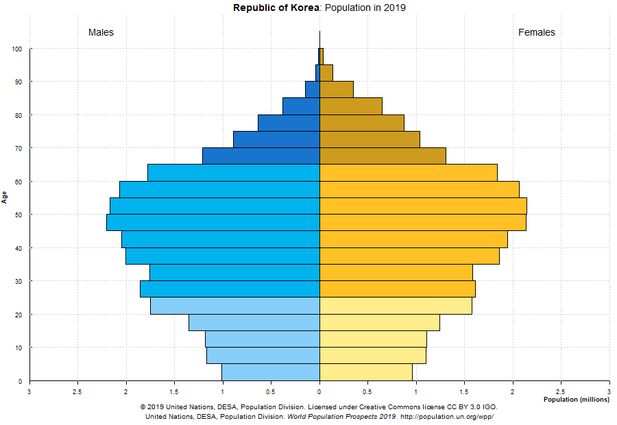 한국 인구 피라마드 2019년 기준