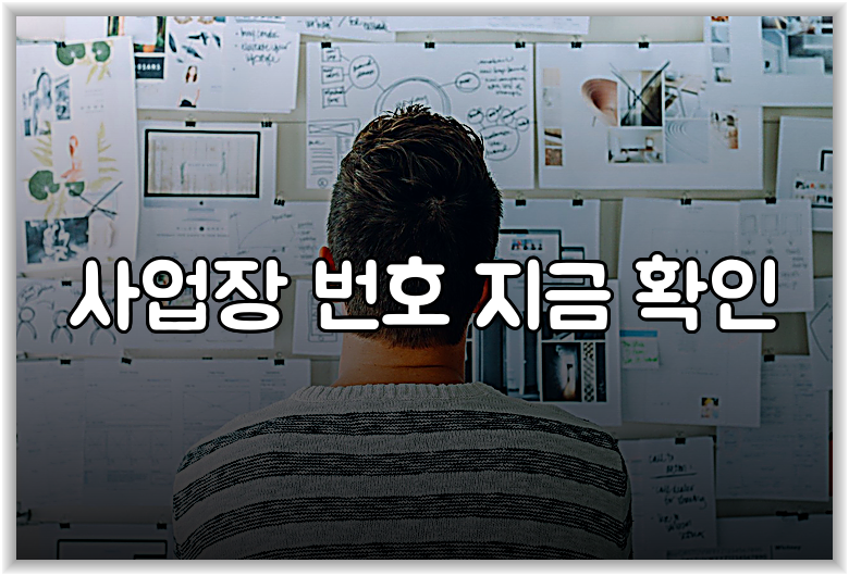 사업장 번호 지금 확인