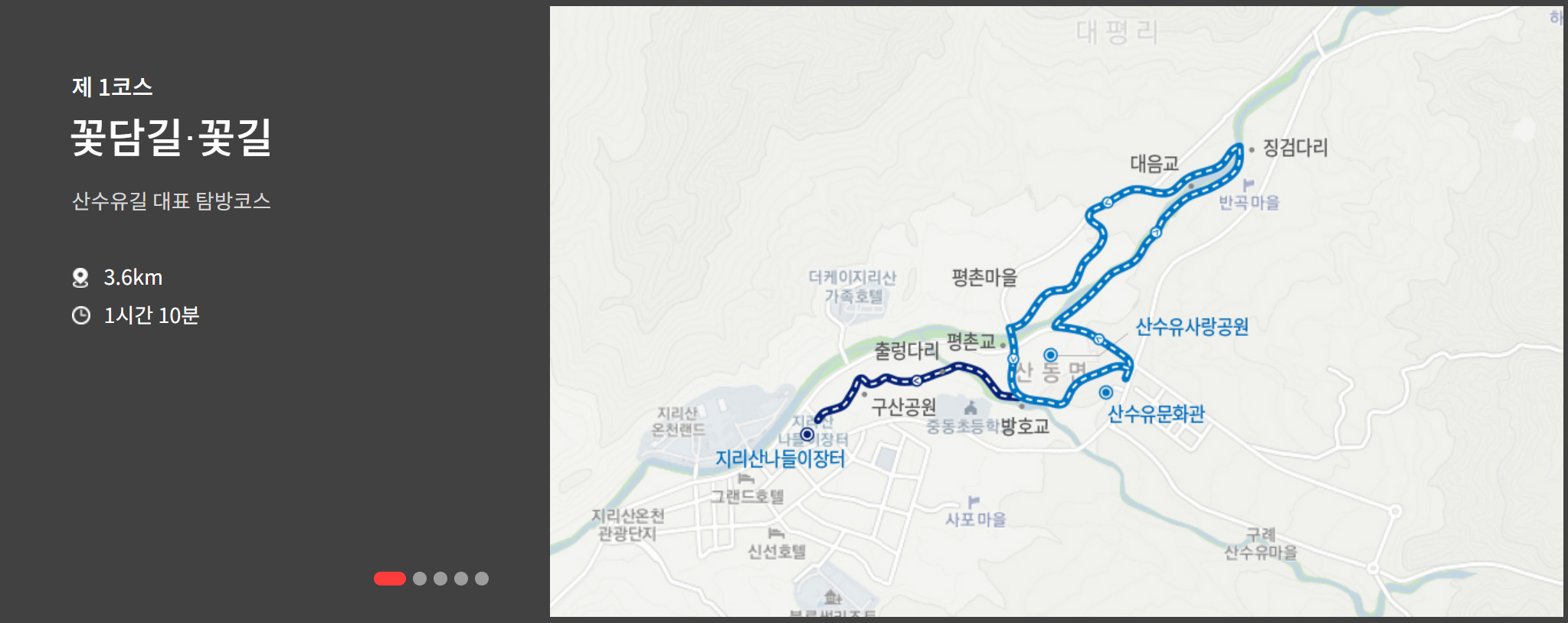 2023 구례 산수유축제 산수유길