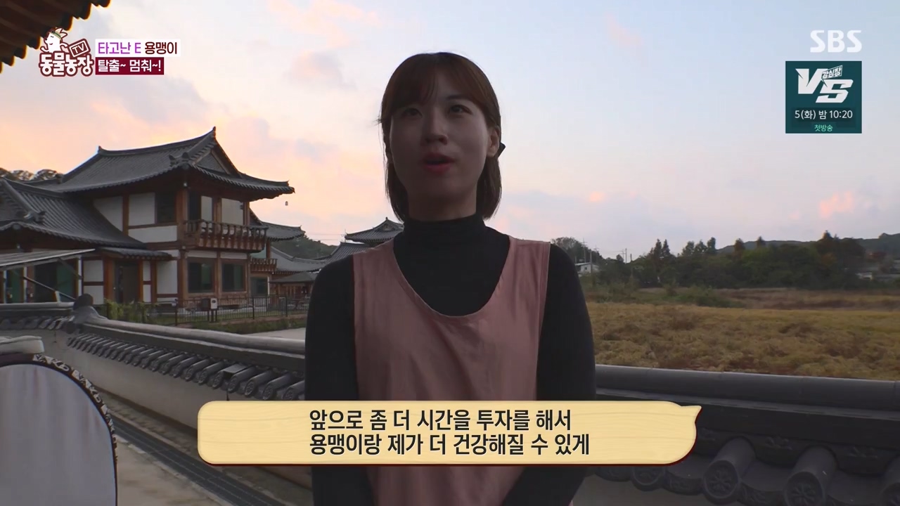 TV 동물농장.E1147.231127p-NEXT.mp4_20231126_170402.796.jpg