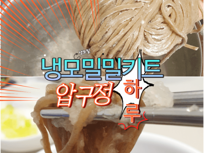  냉모밀 밀키트 강남구 압구정 하루의 메밀면 요리