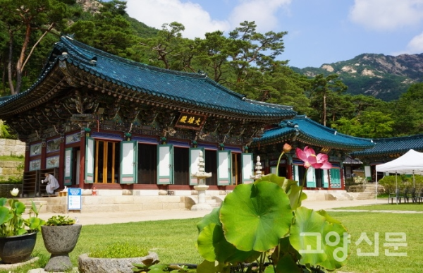 이재명 대통령 가슴의 진관사 태극기와 2025년 대한민국의 새로운 정부 진관사 태극기와 진관사