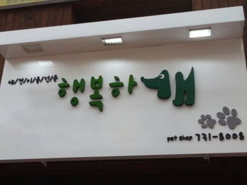충청북도 옥천군 애견미용 잘하는 곳 BEST4 | 예약하기 | 할인 정보 보기 | 서비스 확인 | 후기 읽기 | 인기 추천 | 총정리 - 3. 행복하개 소개 3. 행복하개 소개