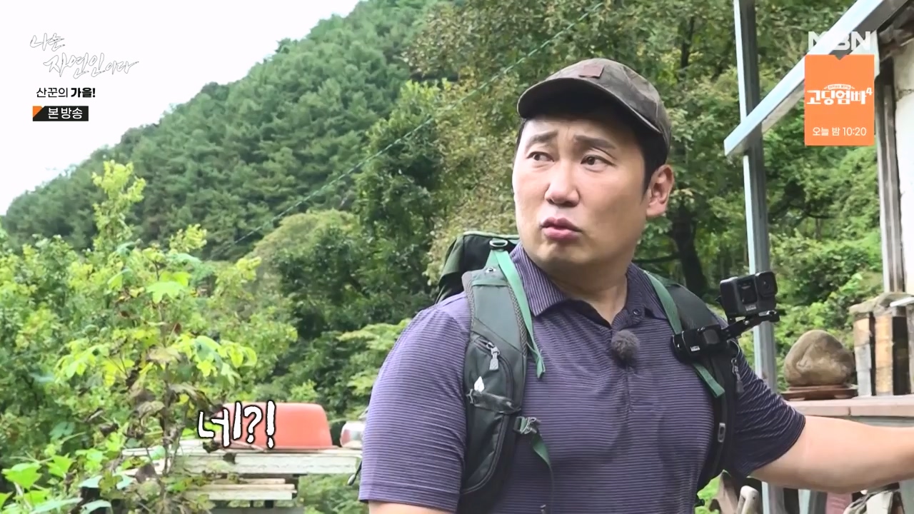 나는 자연인이다.E574.231005p-NEXT.mp4_20231005_200546.318.jpg