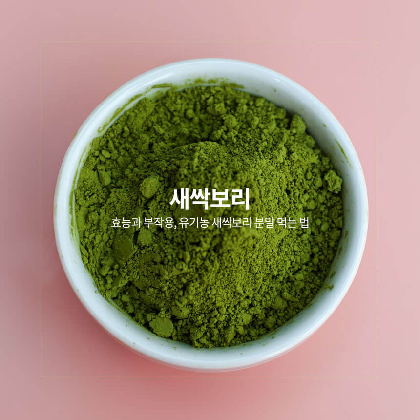새싹보리 부작용 , 다이어트 위한