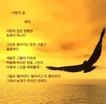 루미 잠언 사랑 안에서 길을 잃어라_7