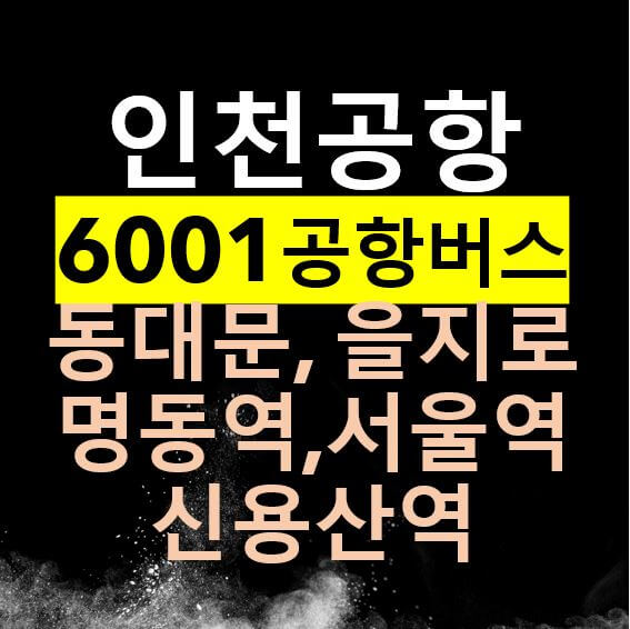  6001 인천공항버스 리무진 / 동대문, 을지로, 퇴계로, 충무로역, 명동역, 서울역, 삼각지, 숙대입구, 신용산역/ 시간표, 요금, 버스타는 곳