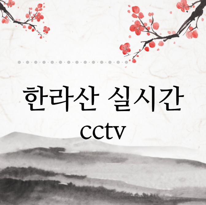  한라산 실시간 cctv (국립공원)