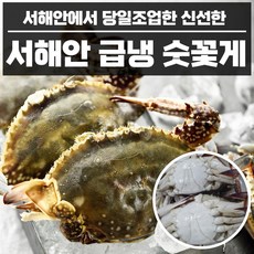  산지 직송 "꽃게" 추천정보 리스트 + 구매후기평가입니다. 요즘 많이들 구매하시는 꽃게 구매정보입니다.