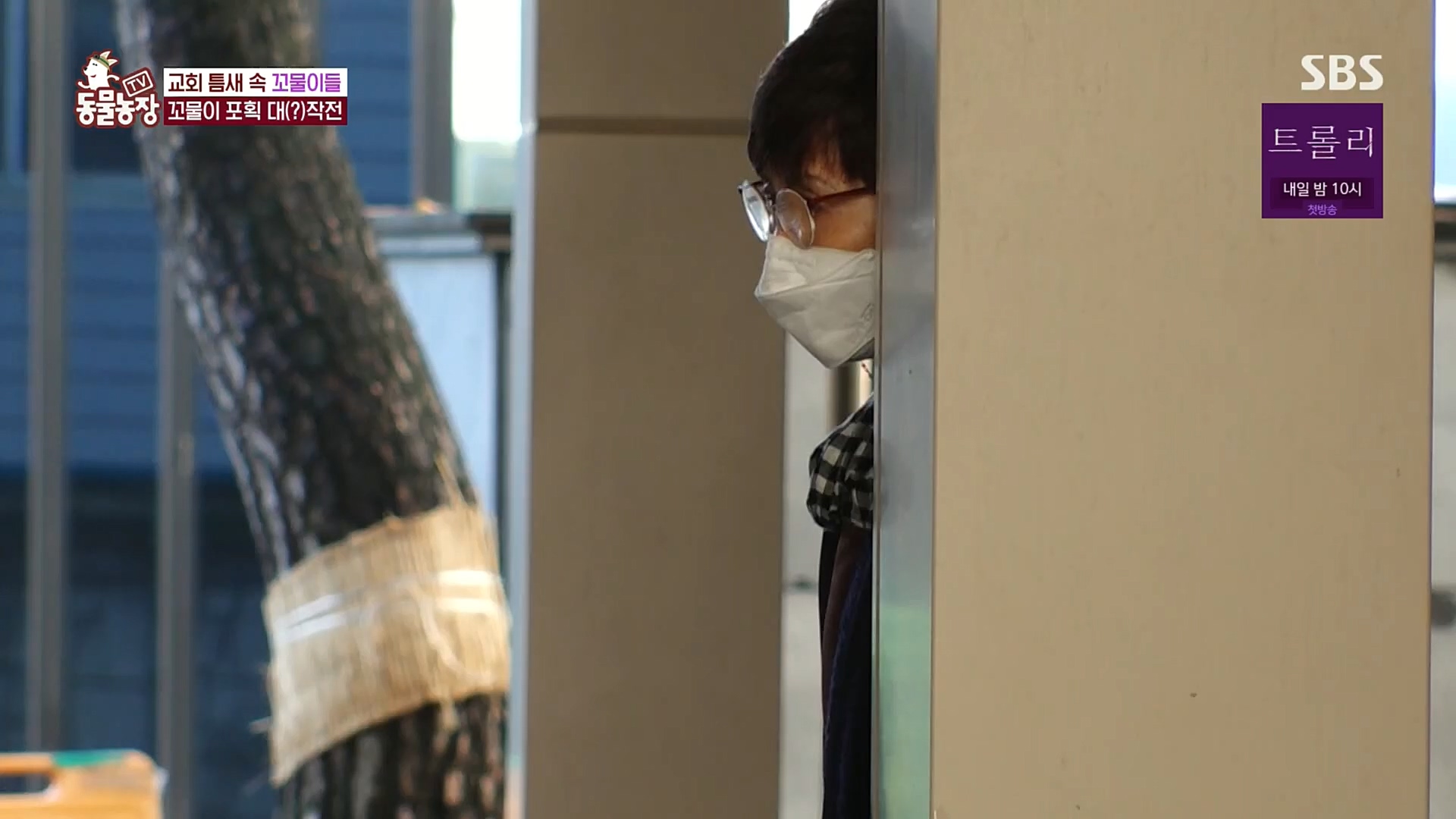 TV 동물농장.E1100.221218p.H264-F1RST.mp4_20221218_183438.410.jpg