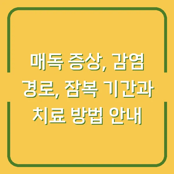 매독 증상, 감염 경로, 잠복 기간과 치료 방법 안내