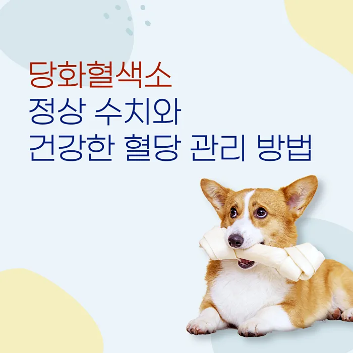  당화혈색소 정상 수치와 건강한 혈당 관리 방법
