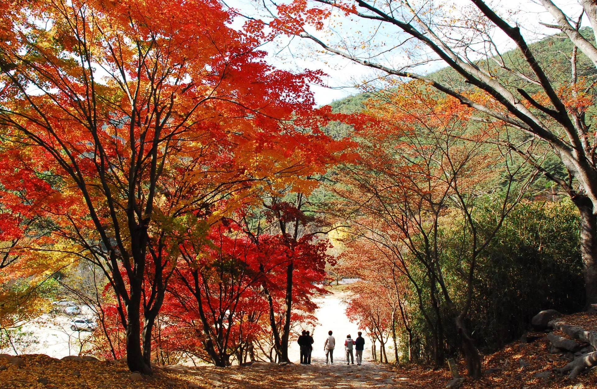 지리산-단풍