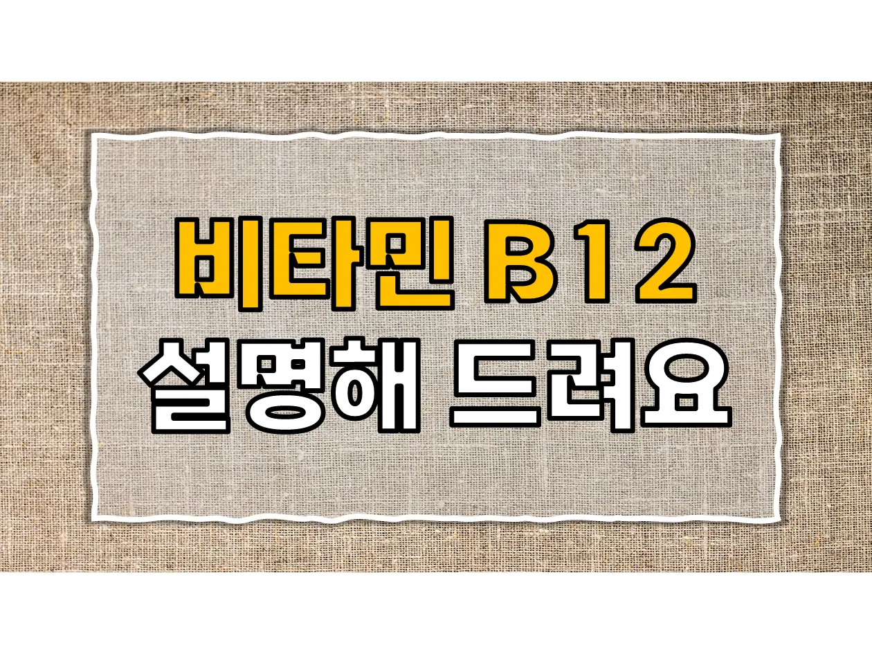  비타민 B12의 신비를 풀다: 당신의 건강을 위한 핵심 가이드