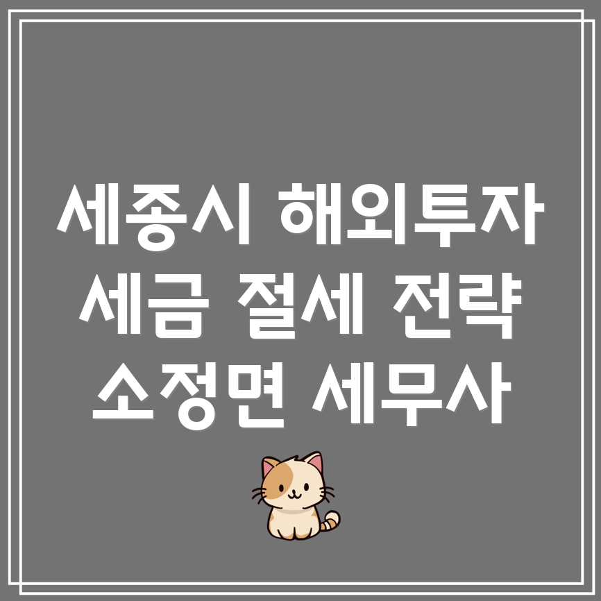 세종시 해외투자 세금