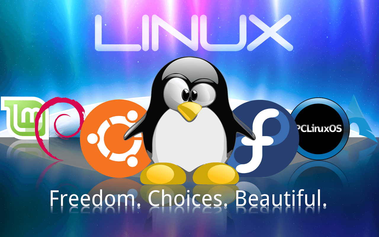 온라인-리눅스-사이트