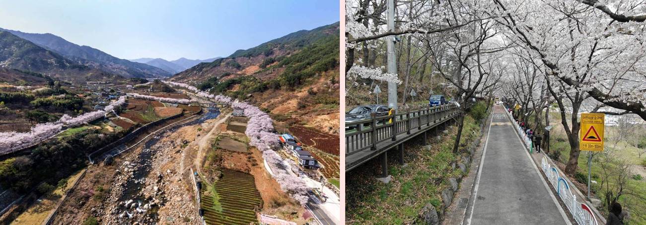 화개장터(하동군청)