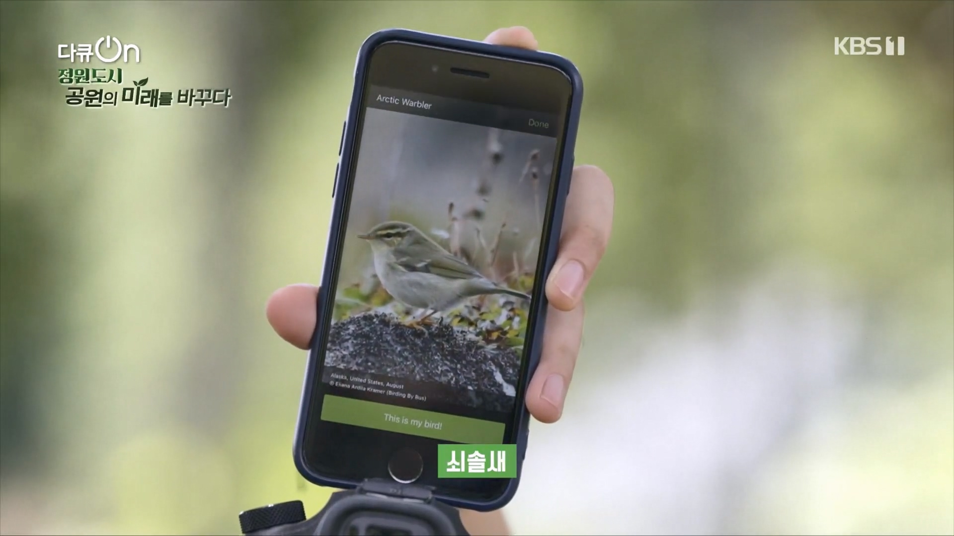 다큐 On.E230.231209p.H264-F1RST.mp4_20231211_195714.275.jpg